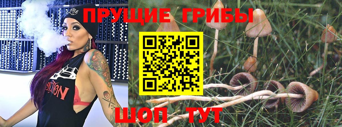 Галлюциногенные грибы мицелий  Вход с VPN  Псилоцибиновые грибы Magic Shrooms  Набережные Челны 
