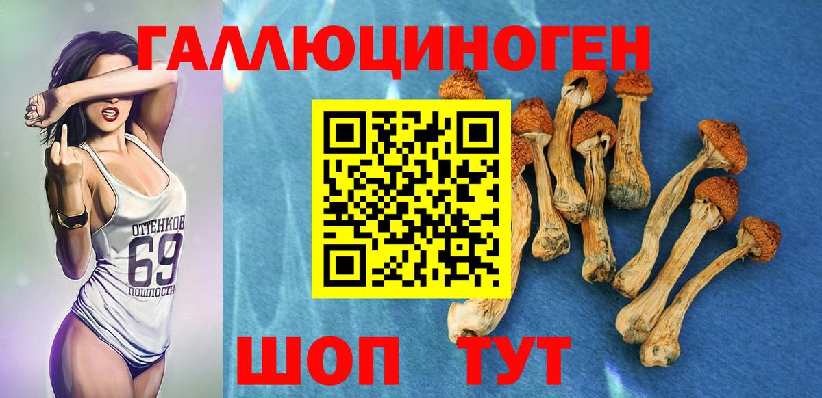 Псилоцибиновые грибы MAGIC MUSHROOMS Набережные Челны